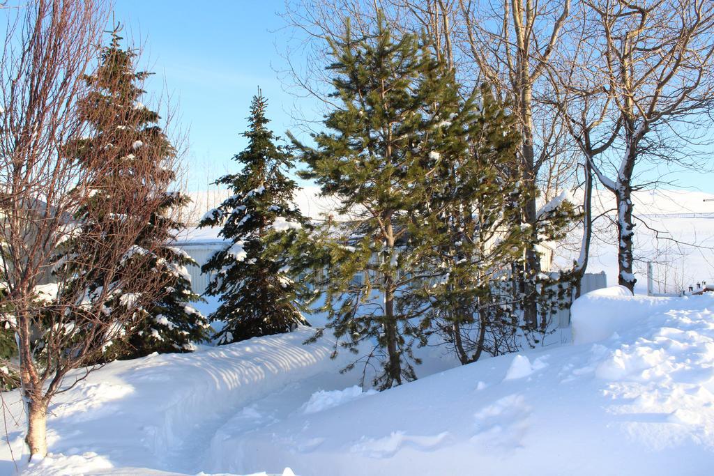 Lonsa Guesthouse Akureyri Luaran gambar