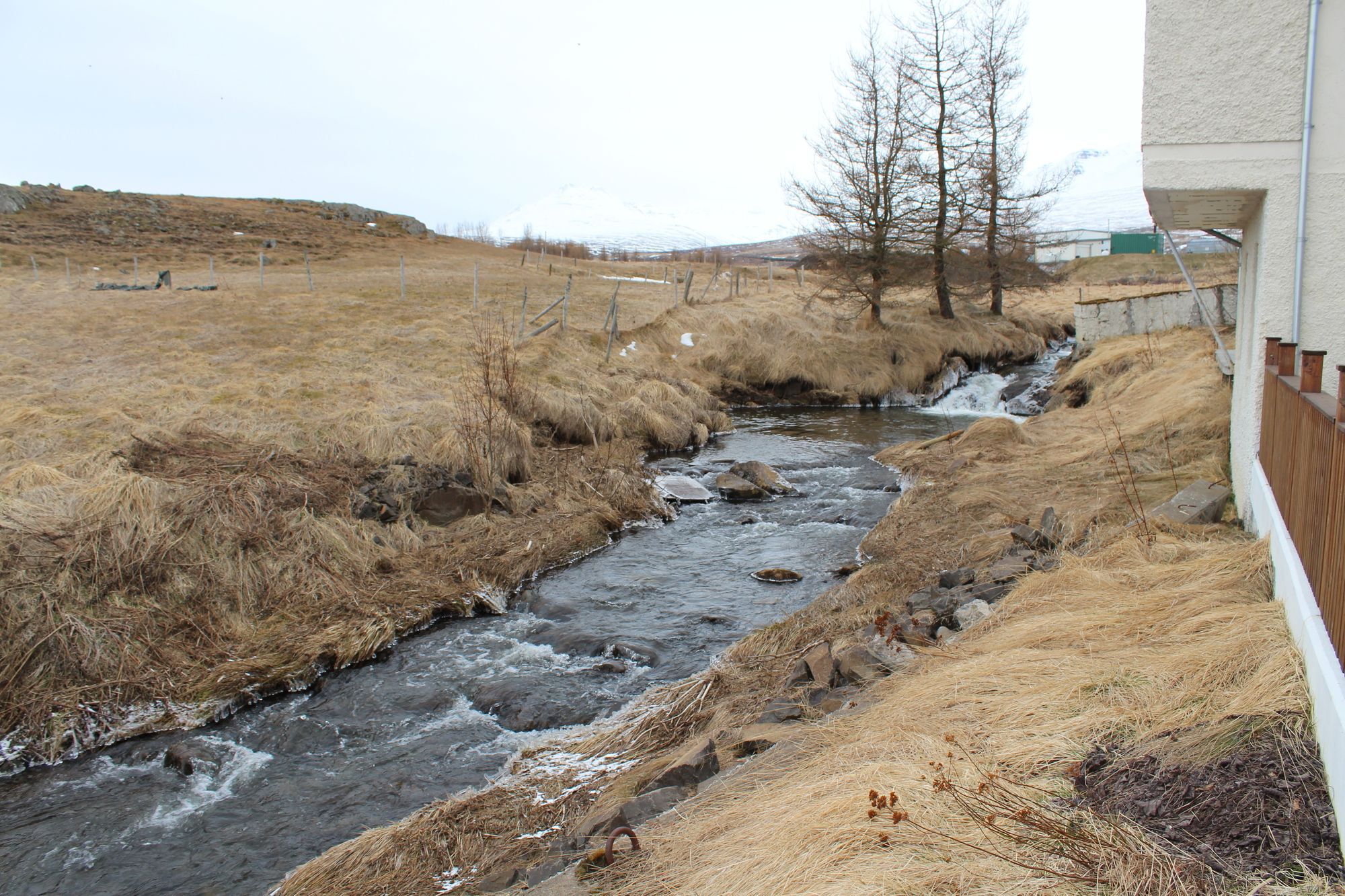 Lonsa Guesthouse Akureyri Luaran gambar